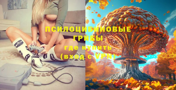 твердый Алзамай