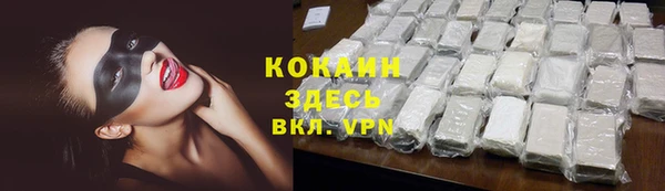 твердый Алзамай