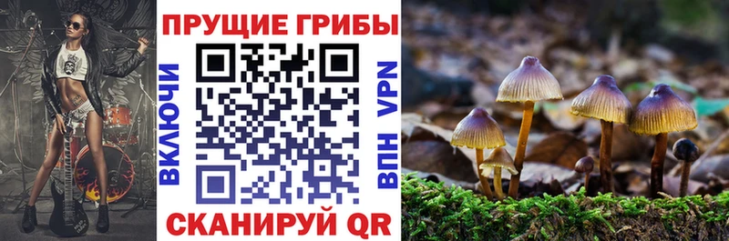 купить  сайты  Анива  Галлюциногенные грибы Magic Shrooms 